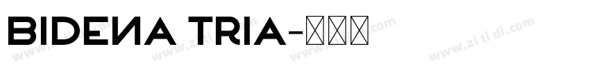 bidena tria字体转换